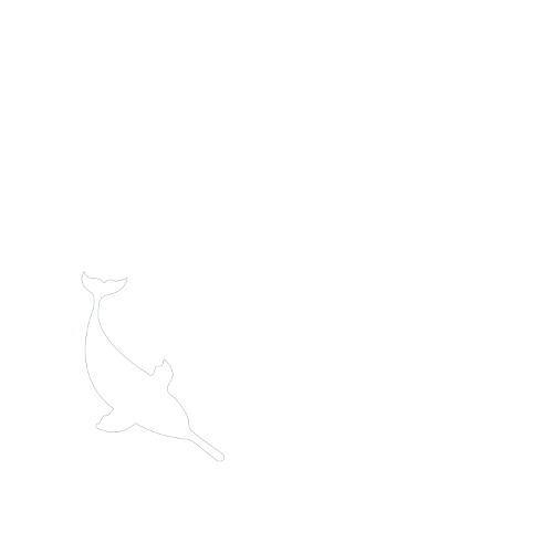 River Dolphin Logo